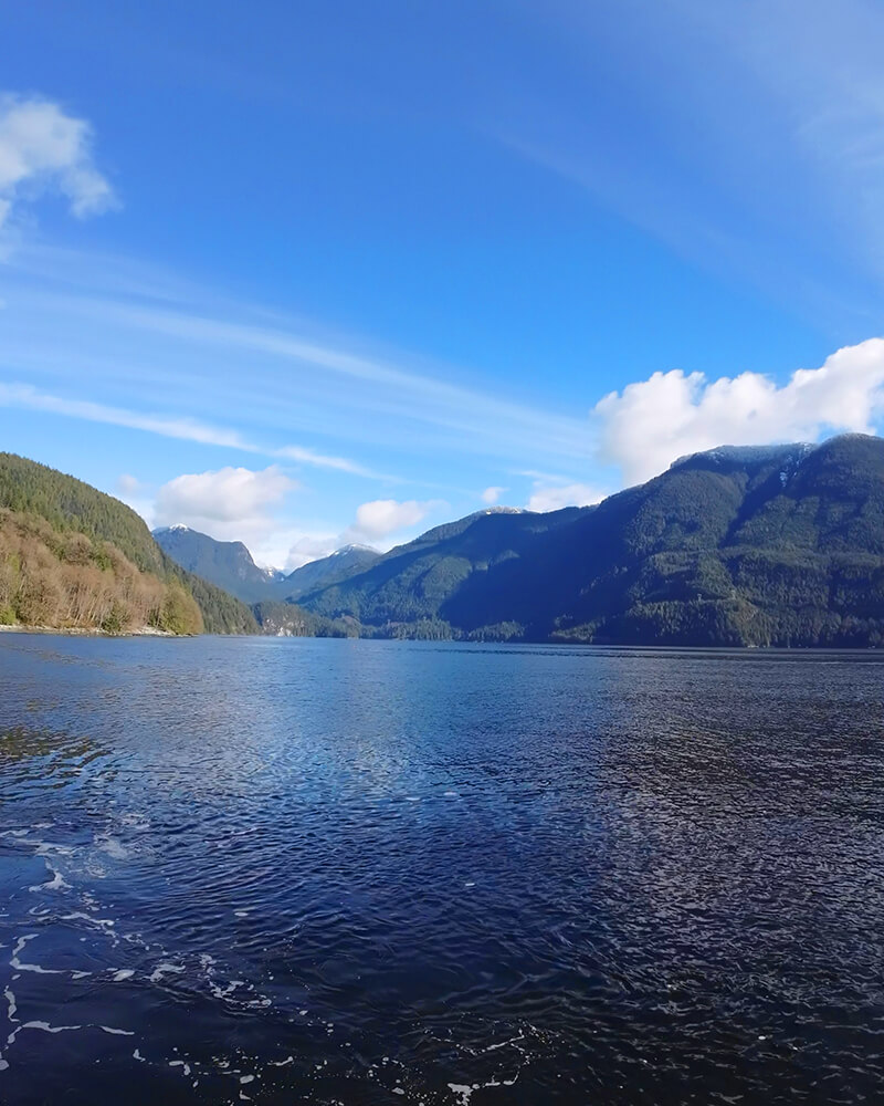 Wide view of calm ocean waters and steep forested mountains from a sauna boat.